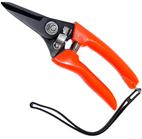 YONGZHAO Tijeras para patas de oveja, tijeras de podar cabra, oveja, cerdo, recortadora de pezuñas multiusos para ramas y flores, para jardín, con hoja doble de 2 pulgadas