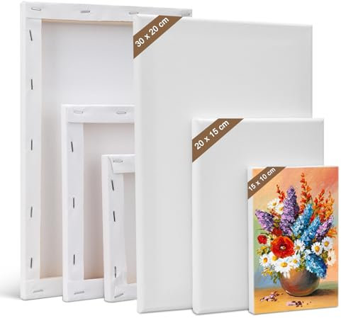 Kigniote Leinwand Set, 6 Stück Leinwand zum Bemalen 30x20,20x15,15x10 cm Keilrahmen Weiß Malen Canvas Künstlertafelbilder für Ölgemälde Acryl Leinwandpaneele für Bastler und Künstler