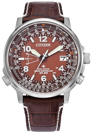 Citizen Gents Eco-Drive World Perpetual A.T