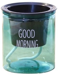 Pflanzgefäße für den Garten, 10,2 cm, transparent, groß, afrikanisches Veilchen, Kunststoff, saugfähige Töpfe für Zimmerpflanzen, Kräuter, afrikanische Veilchen, Orchidee, transparent, 2025 (Grün