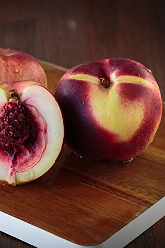 Albero di Pesco Noce pianta di pesca noce Età 2 anni già innestata pianta da frutto di pesche noci pianta vera di pesca noce venduta da eGarden.store (Caldesi)