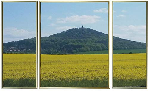 RAABEC Triptychon Alu-Rahmen 50x80cm für Malen nach Zahlen (Gold) | Fertig montiert, Mit Rückwand, ideal für Malen nach Zahlen Triptychon Bilder z.B. von Schipper ohne Glas