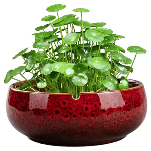 Jeorywoet Ceramic Plant Pots, Lotus Bowl Planter, 6.5x2.5 Inch Round Ceramic Plant Pots, Vintage Decorative Lotus Flower Bowl, Non Slip Water Lily for Succulent Plants, Flower, Red