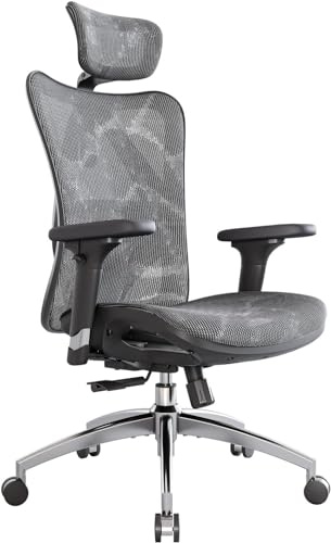 SIHOO Silla de Oficina Ergonómica, Silla de Escritorio, Respaldo Alto, Transpirable, Silla de Malla, con Reposabrazos 3D y Soporte Lumbar Ajustables(Gris)