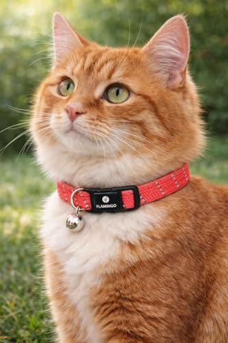 Collier Chat - Elza Corail Rouge 20–34 cm – Nylon élastique réfléchissant avec Clochette