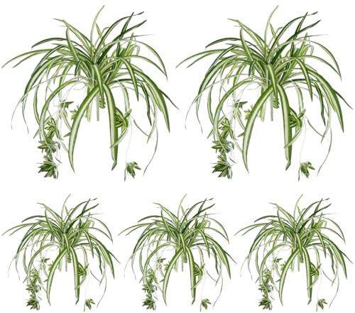 5Pcs Fake Spider Plant 22 Inch Hanging Artificial Spider Plant with Flower Head Long Lasting Lifelike Silk Greenery for Indoor, OutdoorFake