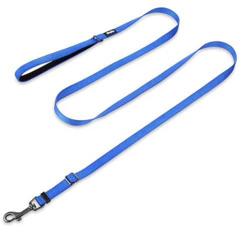 Hyhug 1,8 m Verstellbare Nylon Hundeleine mit weichem, gepolstertem Griff - Haltbare Leine mit einfachem Bolzkupplungsverschluss, ideal für große, mittlere und kleine Hunde (Klein, Hellblau)