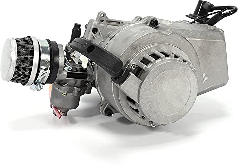 3PS 2 Takt Motor, Mini Pocket Bike Motor 49ccm Motor mit 1 2L Tank für 49CC Motorräder hohe Leistung bis 1 9kW 12500 U/min langlebig und einfach zu starten
