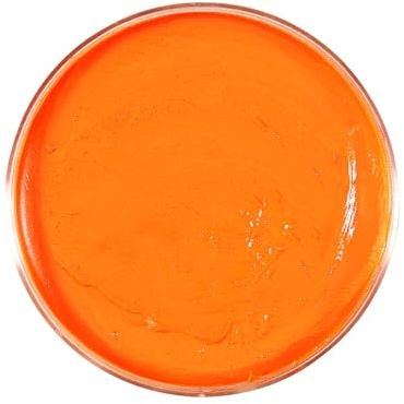 Trendandstylez Trucco professionale per teatro 25g 14 colori | Tinta per il viso e trucco per bodypainting per Carnevale, Halloween e Cosplay | Dermatologicamente testato, sicuro per la pelle |