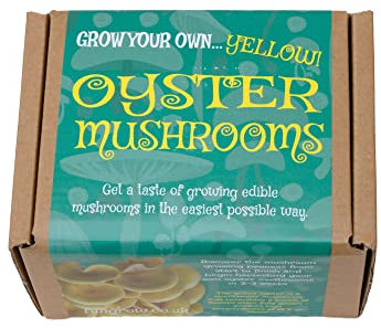 FUNGROW Mushroom Growing Kit - DIY! (Yellow)