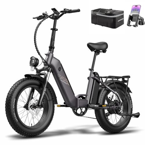 Fafrees Electric Bike, 20 * 4.0 Inch City Electric Bike,10.4AH*2 Batteries E-bike, Folding Electric Bicycle for Unisex Adults, Power Assist 70-150KM, 2023 FF20 POLAR (black)