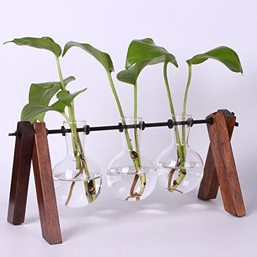 Moonlear Glass Planter Bulb Vase with archaistic Wooden Stand and Metal Swivel Holder for Air Plants Home Garden Decor (3 Bulb vase)