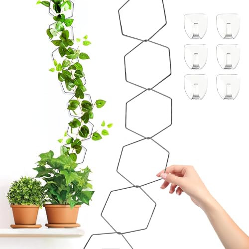 Kettenspalier für Kletterpflanzen -Wandkettenspalier für Pflanzen Trellis PlantsZimmerpflanzenzubehör Kettengitter für Weinreben Innenbereich für Jasmin, Weinreben, Rosen, Monstera, Pothos, Efeu