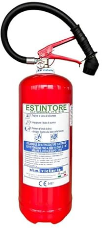 Estintore a Schiuma Lt 6 + Registro Antincendio Omologato e Certificato, Fornito di Staffa + Cartello e Tagliando di Controllo (La Scadenza del Tagliando Non è la Scadenza dell’Estintore)