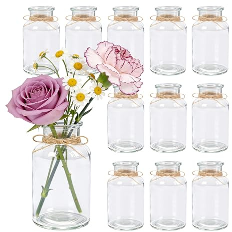 Rose miniglasvaser, 250 ml små burkar med jutesnöre, blomvaser, bordsvaser, glasvaser, dekorativa flaskor, glasflaskor för bordsdekoration, mittstycken, bröllopsdekorationer 12 stycken