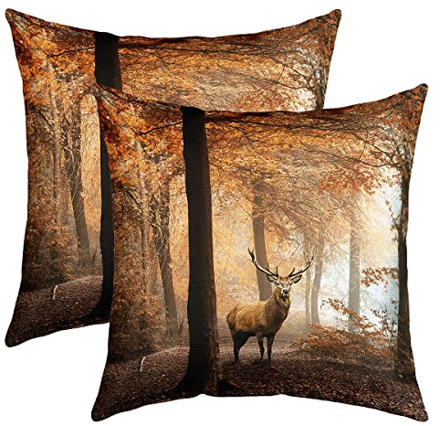 Wald Hirsch Kissenhülle Braun Elch Dekokissen 50x50cm für Sofa Schlafzimmer Dekorativ Natur Wald Tier Motiv 2er Set Kissenbezüge Hirsch Muster Kissenbezug Mikrofaser Sofakissen Couchkissen