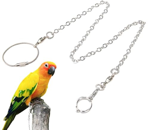 Bracelet de cheville pour oiseaux – Chaîne de traction pour perroquet, harnais d'oiseau | Bracelet de cheville de traction d'intérieur pour moineau, anneau de traction pour oiseaux, accessoires de