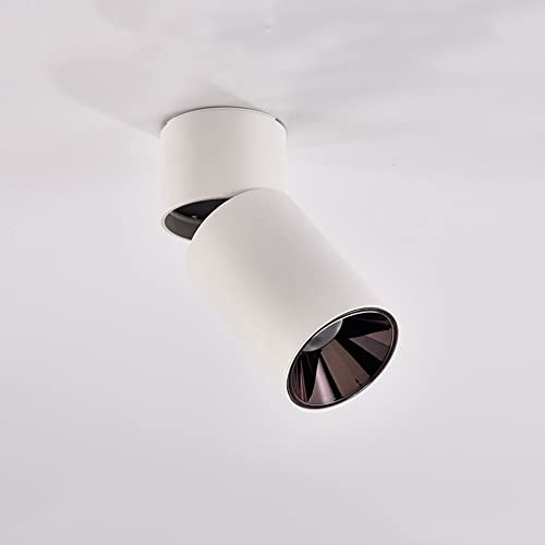 Plafoniera for montaggio su superficie con angolo regolabile 7/12W Selezione colore (3000K/ 4000K/ 6000K) Faretto Luce diurna for interni(White(7W),4000K nature light)