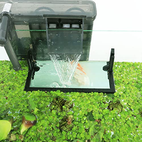 HOZOE Recinto per piante galleggianti per acquario, intercettazione di piante galleggianti da filtri e riscaldatori, altezza regolabile con livello dell'acqua, può essere utilizzato per acquari