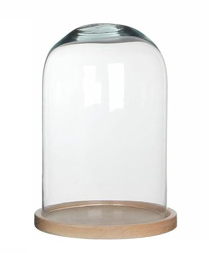 Generico Teca Cupola Campana Vetro Con Base Presepe Diorama Statua Espositore 23x15cm