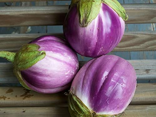 60 Graines d'Aubergine Rontonda di Bianca - légumes semis potager - semences paysannes reproductibles - SemiSauvage