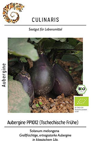 Culinaris 105 Aubergine Tschechische Frühe (BIO Auberginensamen)