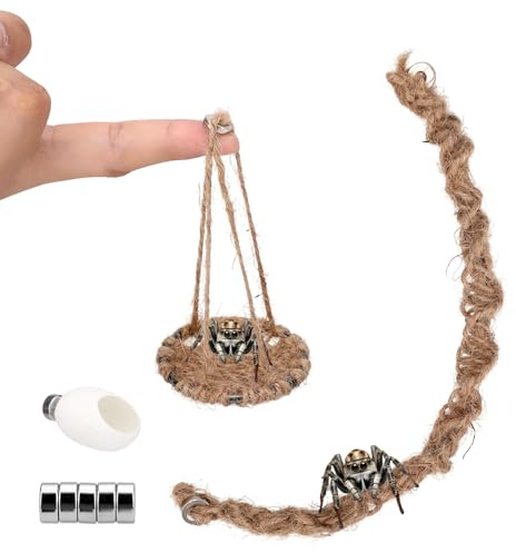 Sinbana 3 Uds Juego de Accesorios para Terrario de Arañas Saltarinas, Incluye Columpio Cuerda Algodón Plataforma y Nido con Imanes para Decorar Terrarios Arañas Saltarinas Tamaño Mediano