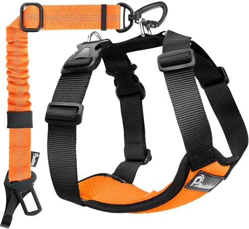 Pawaboo Harnais de Sécurité pour Chien en Voiture avec Double Attache