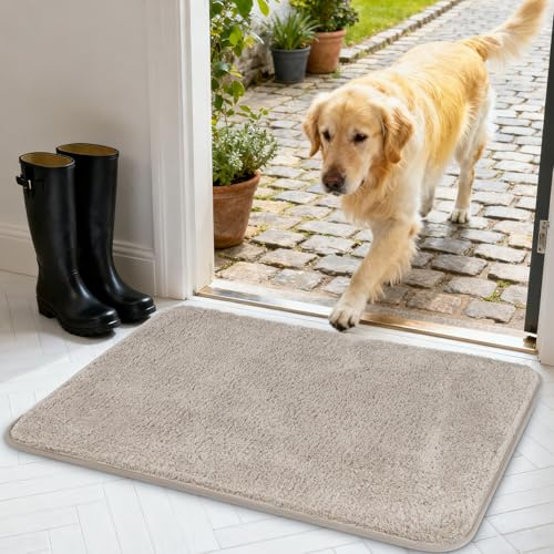 AUAUY Zerbino Trappola Sporco, 50 x 80cm Zerbino Asciugapassi per Interno, Tappeto Assorbi Acqua, Antiscivolo, Lavabile, per Cane, Ingresso, Porta e Corridoio, Casa e Ufficio (Grigio Chiaro)
