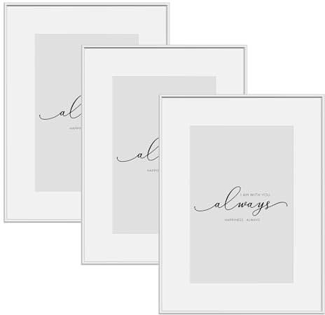 WOLTU Set di 3 Cornice Foto, Portafoto 20x30cm, Cornice in Alluminio, Cornici per Documenti, Cornice per Foto da Parete o da Tavolo, Cornice Argentato, Frontale Trasparente in plastica, BR9955sb-3