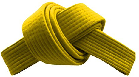 RingMaster Sports Grading Belts 9 Plain Colour for Karte Judo Taekwondo Martial Arts Training Competition | 230cm, 250cm, 280cm, 320cm