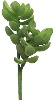 artplants.de Künstliche Sukkulente Geldbaum MUNING, Steckstab, grün, 14 cm - Sukkulent künstlich
