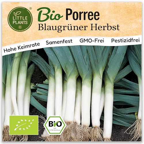 Little Plants BIO Porree Samen 200 Blaugrün Porreesamen Gemüsesamen Samenfest für Gemüsegarten Gemüse Samen für Küche, Balkon, Hochbeet und Garten