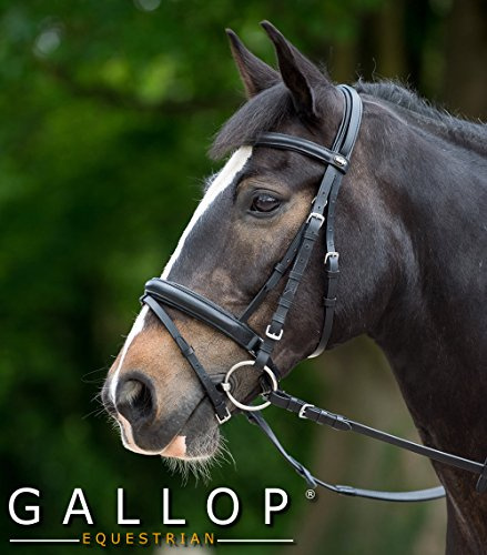 Gallop Comfort Bridle and Rubber Reins (Pony, Black)