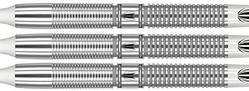 Target Gabriel Clemens 90% Softdarts 21 Gramm