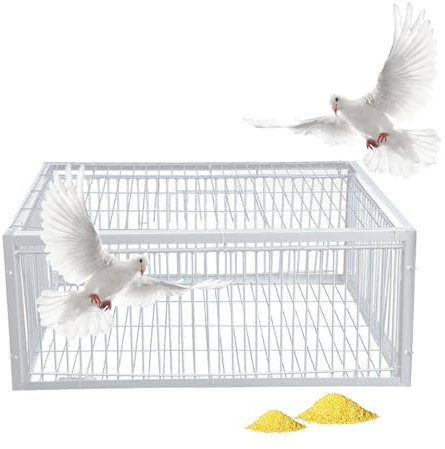 MBBTAG Piege a pigeon, Cage piège à Poulets et Oiseaux, cage piège à animaux piège à pigeons piege, piège à oiseaux avec conception anti-fuite, adapté aux terrasses, jardins et fermes(Blanc,40x30x26cm