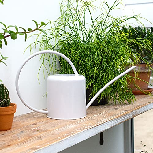 CKB LTD® - Annaffiatoio da interni da 1,4 l, in acciaio verniciato a polvere, zincato colorato, per piante d'appartamento, design contemporaneo in metallo, becco stretto e manico alto (gesso bianco)
