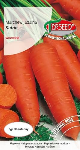 Verdica Katrin Chantenay tipo semi di carota Daucus carota – maturità molto precoce, dolce e croccante per succo e mazzo, imballaggio ecologico (3 grammi)