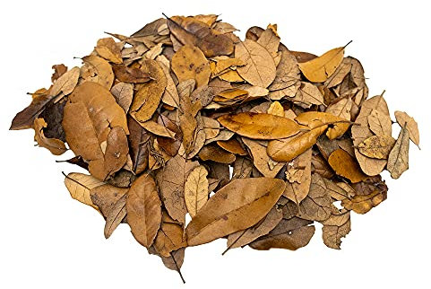 XYZReptiles Premium Live Oak Leaf Litter Isopod Substrate Terrarium Bedding (1/2 Gallon)