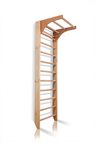SportBaby Espaldera de Fitness Kombi-1-240 Espaldera para Gimnasio Escalera Sueca Niños de Juegos - Certificado, almacén de la UE