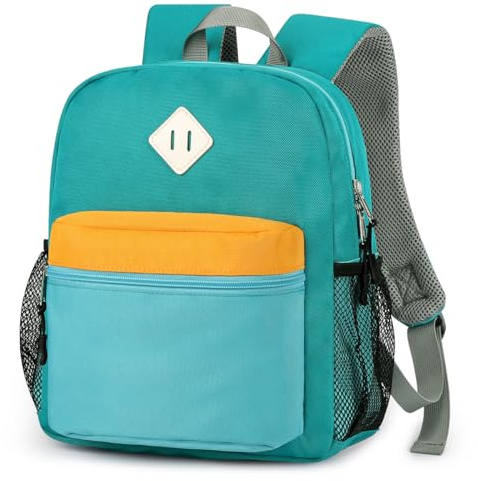 STEAMEDBUN Toddler Backpack for Boys 2-4,Kindergarten Backpack for Boys,Preschool Backpack,Mini