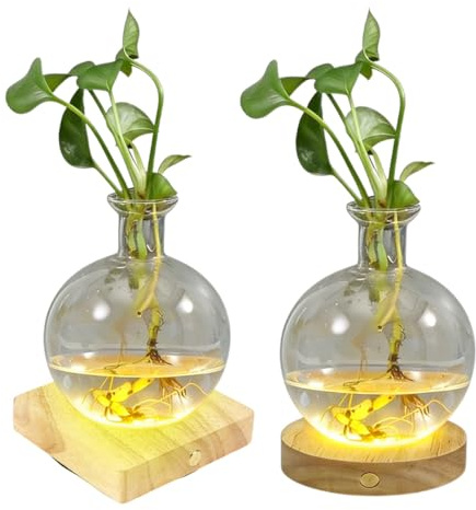 LED Hydroponic Plant Vase, Illuminated Clear Glass Water Propagation Planter with Built-in Light for Cuttings, Self-Watering Decor Vase with Ambient Night Light for Home Desk Decor(Round+Square)