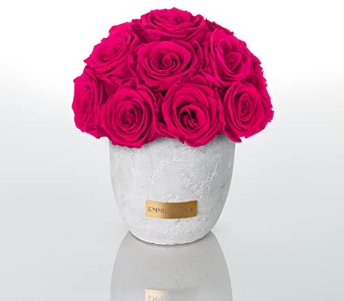 Solid Infinity Collection – drömlika Infinity rosor, 1–3 år hållbara rosor, betongvas med äkta, konserverade rosor, ädla premiumrosor – storlek S (varmrosa)