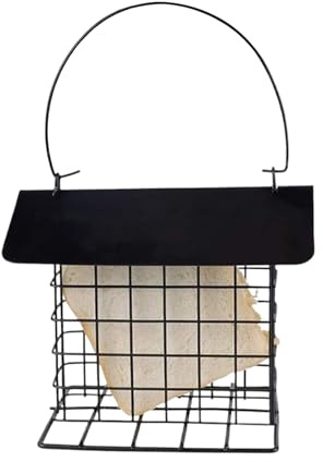 De para Aves | Estación De Alimentación A Prueba De Ardillas - Alimentador de Jaula para Pasteles de - para Todas Las Especies de Colibríes Silvestres, Pájaros Carpinteros,