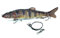 SIMSA-Expert Barsch Wobbler | Swimbait Kunstköder (16cm, 38g) Stahlvorfach Set für Hecht Barsch Zander Schleppangeln sinkend