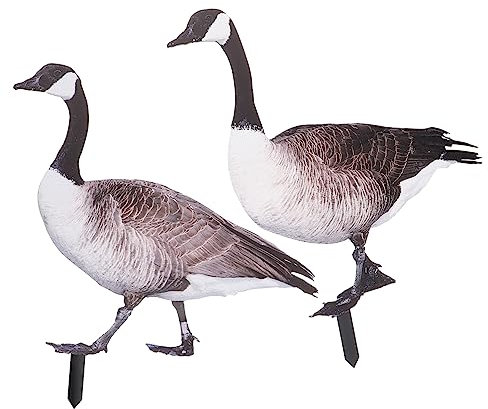 Toyvian 2 Pièces Piquets Décoratifs de Canard pour Décoration de Jardin Résistants Aux Intempéries à Apparence Réaliste Parfaits pour Cour Extérieur