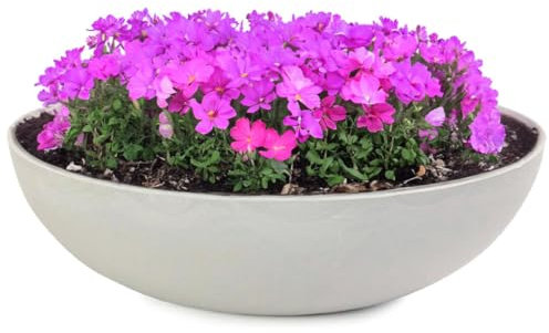 matches21 Pflanzschale für draußen - große Vintage Dekoschale beige-grau marmoriert als Blumentopf Pflanztopf - Schale in 37 x 10,5 cm als Garten Vogeltränke Balkon-Deko oder Friedhof Grabschale