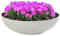 matches21 Pflanzschale für draußen - große Vintage Dekoschale beige-grau marmoriert als Blumentopf Pflanztopf - Schale in 37 x 10,5 cm als Garten Vogeltränke Balkon-Deko oder Friedhof Grabschale