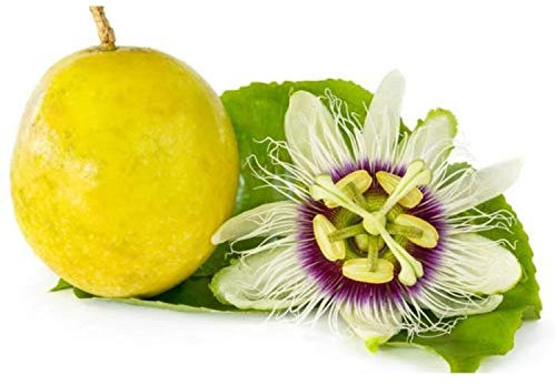 15 Graines de Grenadille - jardins fleurs fruits - Semences Paysannes