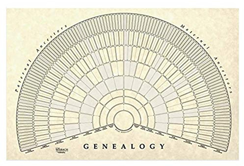 Garosa Toile Arbre Généalogique 57x85 cm (Sans Cadre) Tableau Vierge à Personnaliser pour l'Histoire Familiale Enregistrement Bébé et Décoration de Chambre Murale